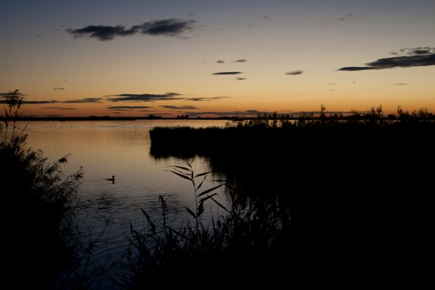 Amazing winter raising time in Ebro Delta...