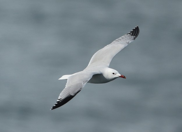 tmp_1116-41284469315