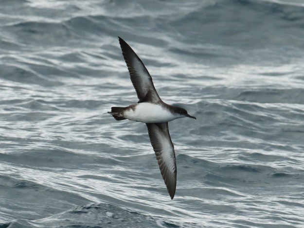 tmp_1212-51514118688