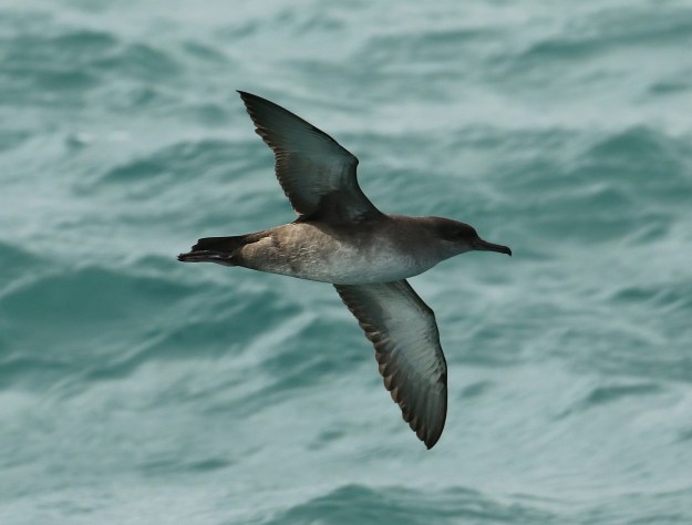 tmp_1283-5-1820201914