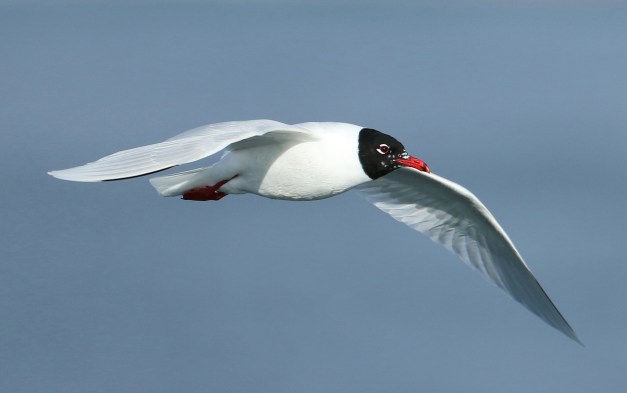 tmp_849-4-1922379595