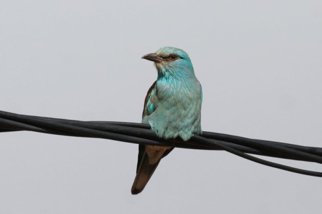 tmp_162991385.KQmAv8yO-235324741