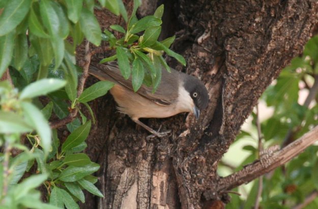 tmp_162991676.OWkvO9FT1193768910