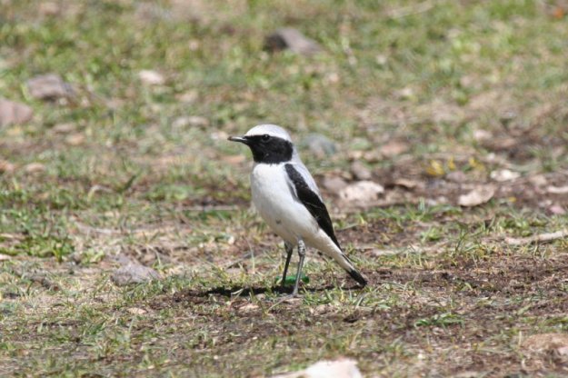 tmp_162996002.DsgjDv2O-800227594