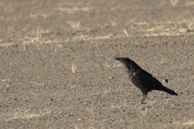 tmp_163002753.ImQjzJT1788667931