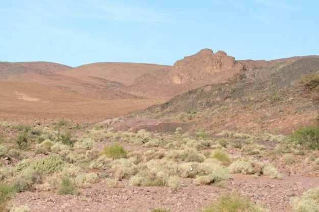 tmp_163035764.KotVvjuH-770739485