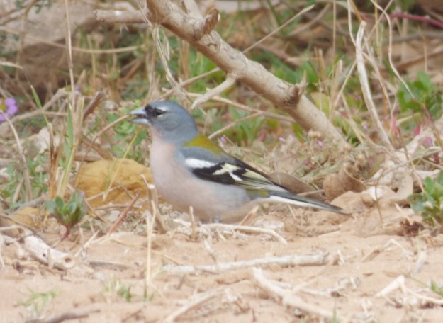 tmp_P11104861704765193