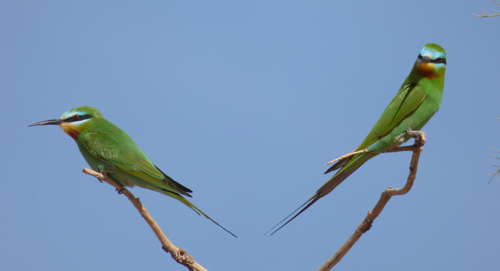 tmp_P11108091577880534