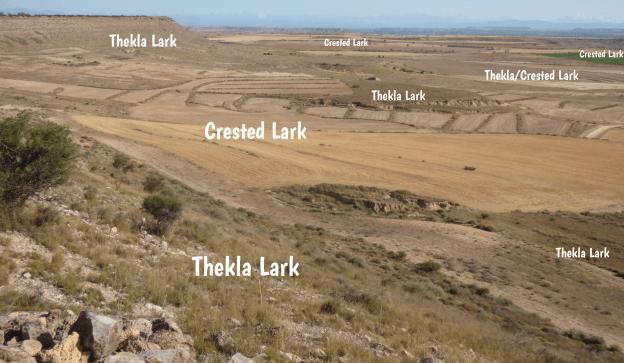 my-visual-1_46737721