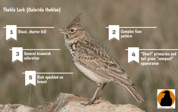 my-visual_46439026 (4)